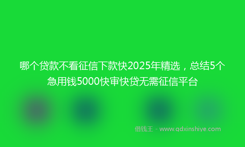哪个贷款不看征信下款快2025年精选，总结5个急用钱5000快审快贷无需征信平台