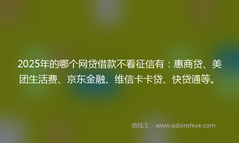 2025年的哪个网贷借款不看征信有：惠商贷、美团生活费、京东金融、维信卡卡贷、快贷通等。