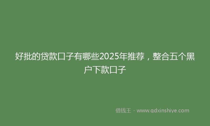 好批的贷款口子有哪些2025年推荐，整合五个黑户下款口子