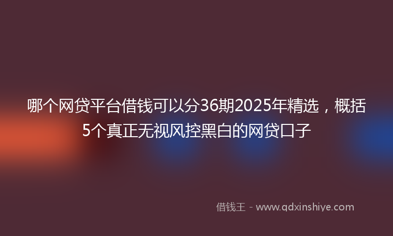 哪个网贷平台借钱可以分36期2025年精选，概括5个真正无视风控黑白的网贷口子