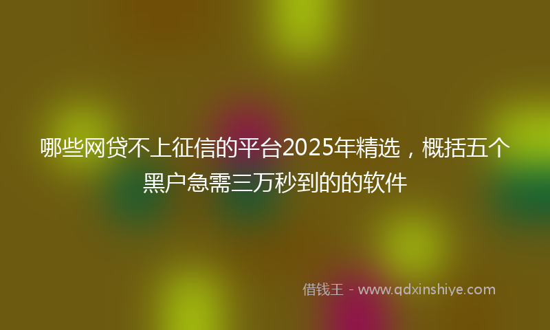 哪些网贷不上征信的平台2025年精选，概括五个黑户急需三万秒到的的软件