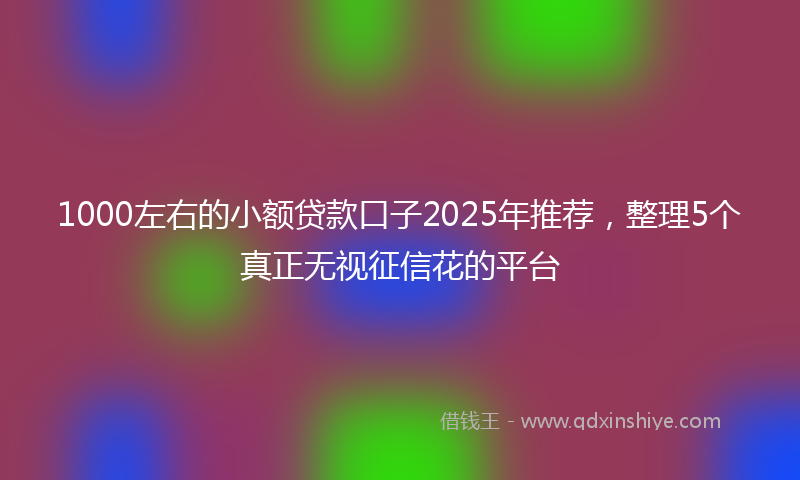 1000左右的小额贷款口子2025年推荐，整理5个真正无视征信花的平台