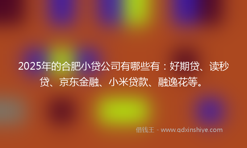 2025年的合肥小贷公司有哪些有：好期贷、读秒贷、京东金融、小米贷款、融逸花等。