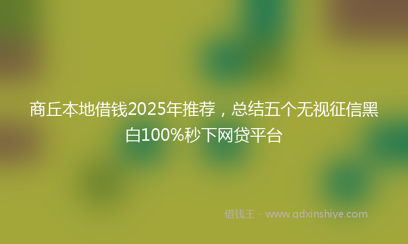 商丘本地借钱2025年推荐，总结五个无视征信黑白100%秒下网贷平台