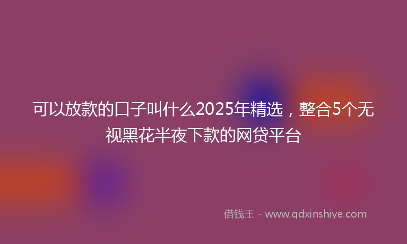 可以放款的口子叫什么2025年精选，整合5个无视黑花半夜下款的网贷平台