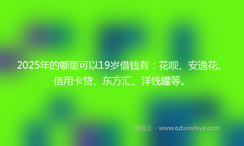 2025年的哪里可以19岁借钱有：花呗、安逸花、信用卡贷、东方汇、洋钱罐等。