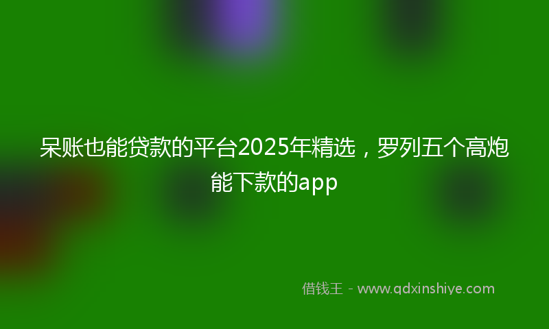 呆账也能贷款的平台2025年精选，罗列五个高炮能下款的app