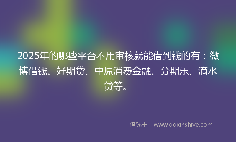 2025年的哪些平台不用审核就能借到钱的有：微博借钱、好期贷、中原消费金融、分期乐、滴水贷等。