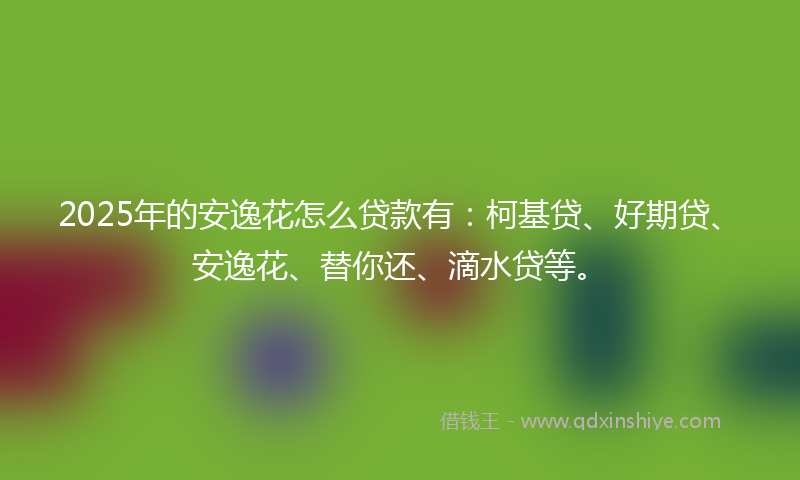 2025年的安逸花怎么贷款有：柯基贷、好期贷、安逸花、替你还、滴水贷等。
