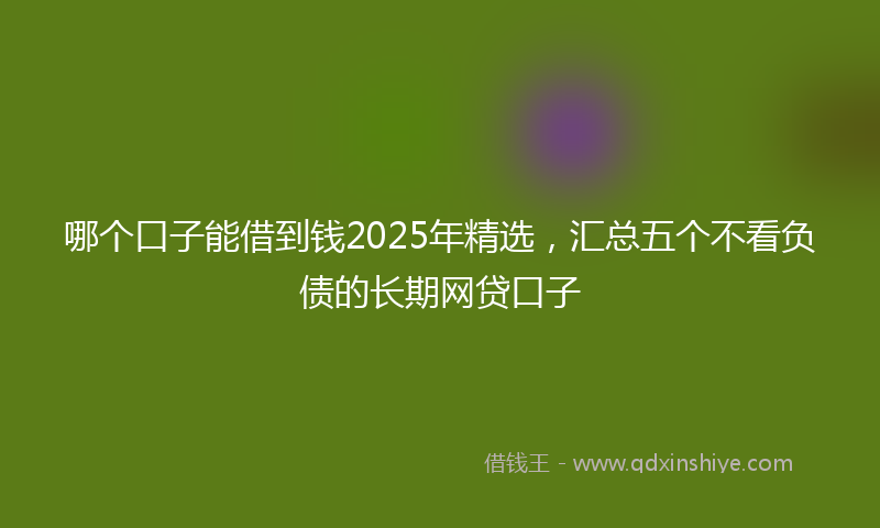 哪个口子能借到钱2025年精选，汇总五个不看负债的长期网贷口子