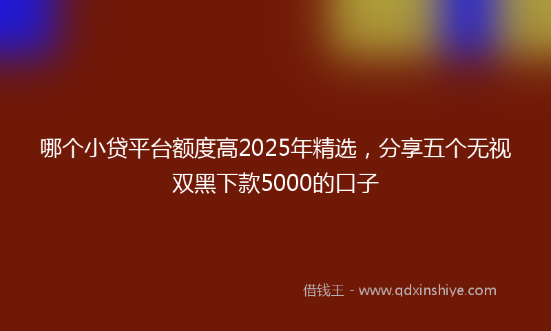 哪个小贷平台额度高2025年精选，分享五个无视双黑下款5000的口子