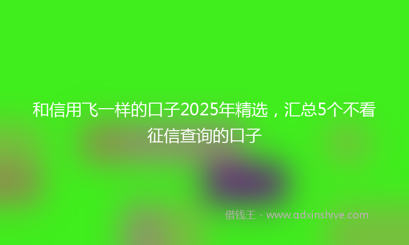 和信用飞一样的口子2025年精选，汇总5个不看征信查询的口子