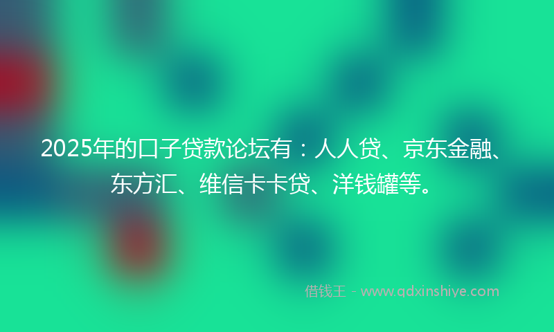 2025年的口子贷款论坛有：人人贷、京东金融、东方汇、维信卡卡贷、洋钱罐等。