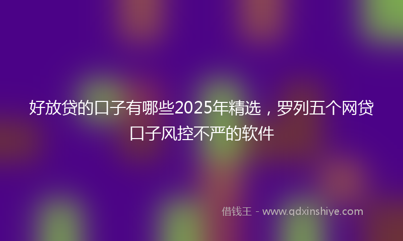 好放贷的口子有哪些2025年精选，罗列五个网贷口子风控不严的软件