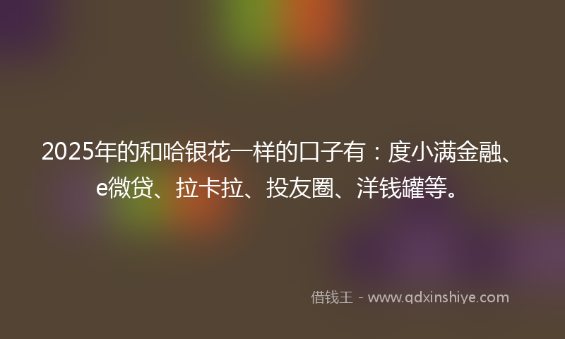 2025年的和哈银花一样的口子有：度小满金融、e微贷、拉卡拉、投友圈、洋钱罐等。