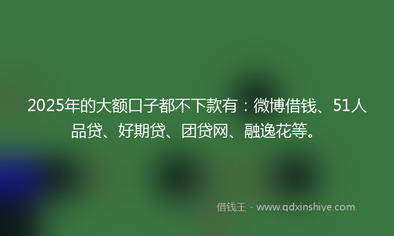 2025年的大额口子都不下款有：微博借钱、51人品贷、好期贷、团贷网、融逸花等。