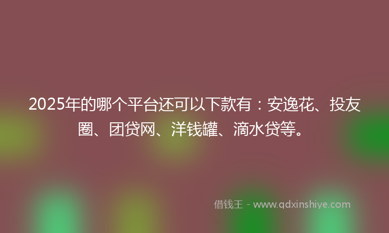 2025年的哪个平台还可以下款有：安逸花、投友圈、团贷网、洋钱罐、滴水贷等。