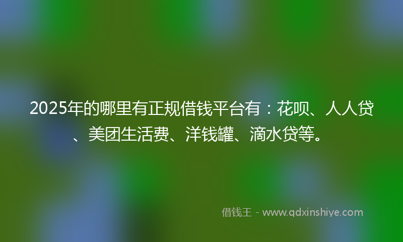 2025年的哪里有正规借钱平台有：花呗、人人贷、美团生活费、洋钱罐、滴水贷等。