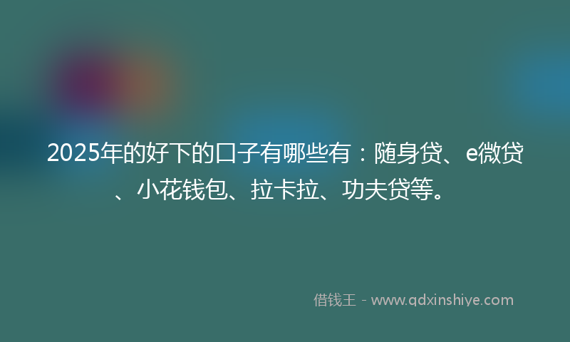 2025年的好下的口子有哪些有：随身贷、e微贷、小花钱包、拉卡拉、功夫贷等。