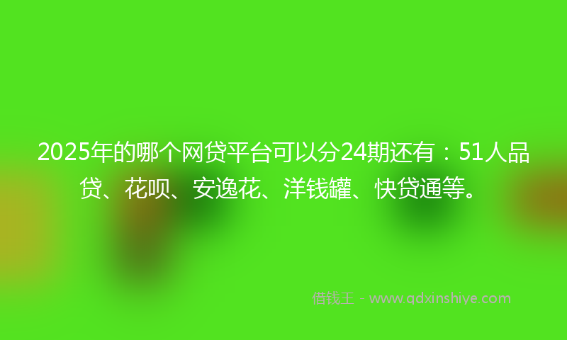 2025年的哪个网贷平台可以分24期还有：51人品贷、花呗、安逸花、洋钱罐、快贷通等。