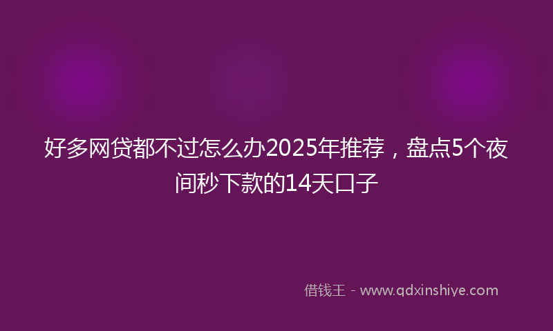 好多网贷都不过怎么办2025年推荐，盘点5个夜间秒下款的14天口子
