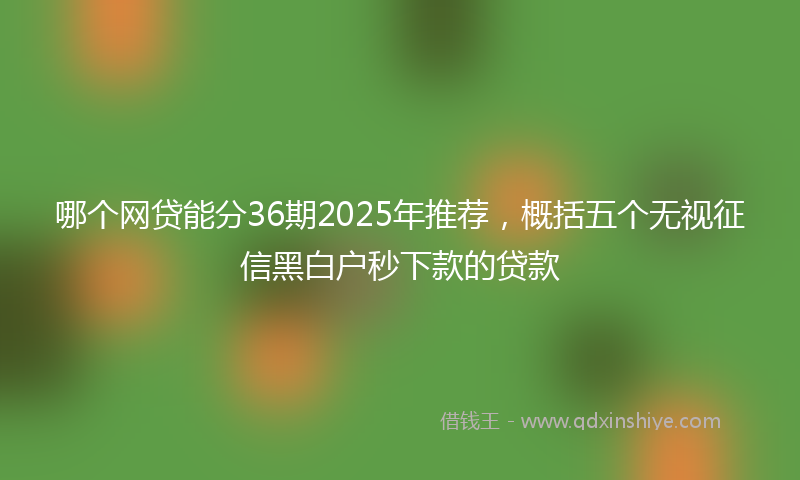 哪个网贷能分36期2025年推荐，概括五个无视征信黑白户秒下款的贷款