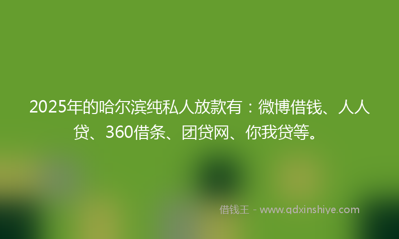 2025年的哈尔滨纯私人放款有：微博借钱、人人贷、360借条、团贷网、你我贷等。