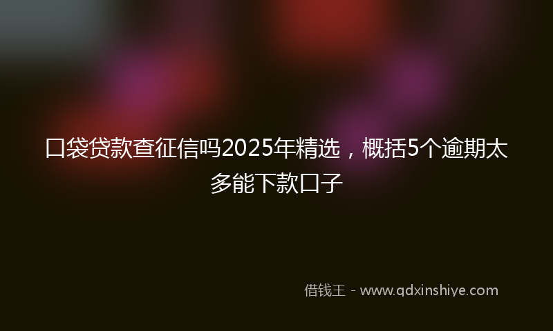 口袋贷款查征信吗2025年精选，概括5个逾期太多能下款口子