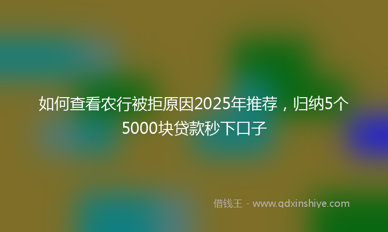 如何查看农行被拒原因2025年推荐，归纳5个5000块贷款秒下口子