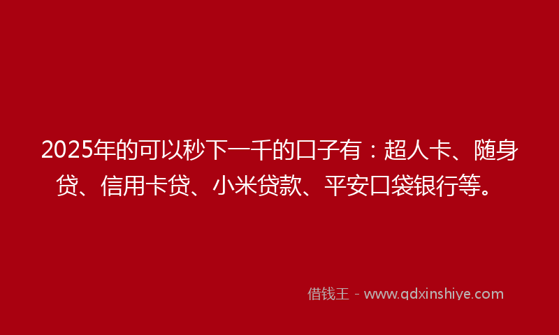 2025年的可以秒下一千的口子有：超人卡、随身贷、信用卡贷、小米贷款、平安口袋银行等。
