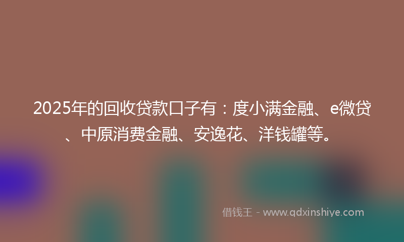 2025年的回收贷款口子有：度小满金融、e微贷、中原消费金融、安逸花、洋钱罐等。
