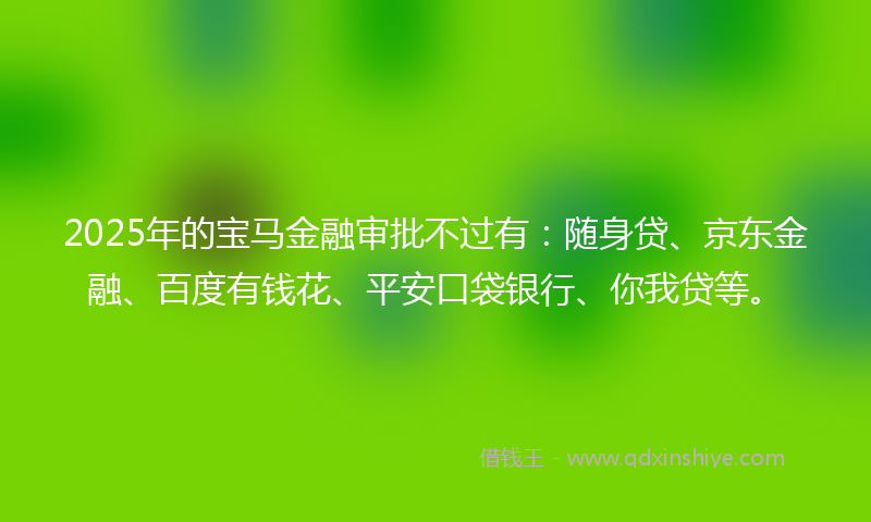 2025年的宝马金融审批不过有：随身贷、京东金融、百度有钱花、平安口袋银行、你我贷等。
