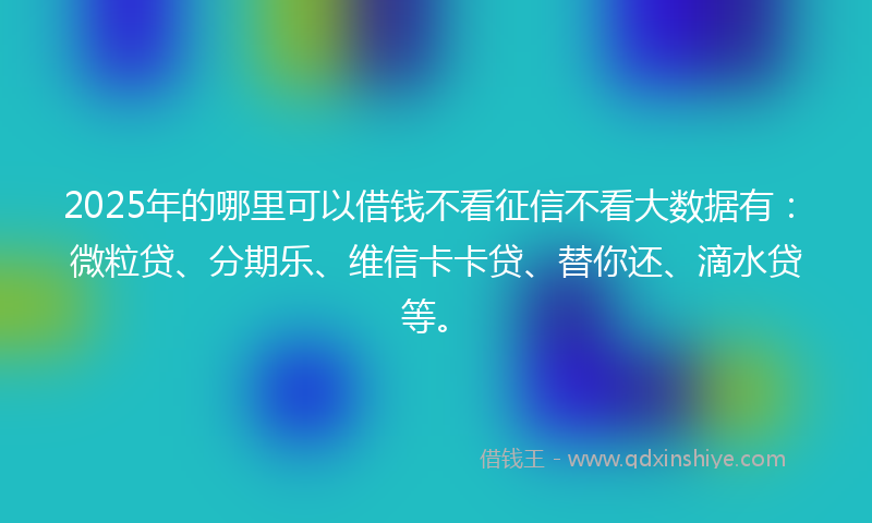 2025年的哪里可以借钱不看征信不看大数据有：微粒贷、分期乐、维信卡卡贷、替你还、滴水贷等。