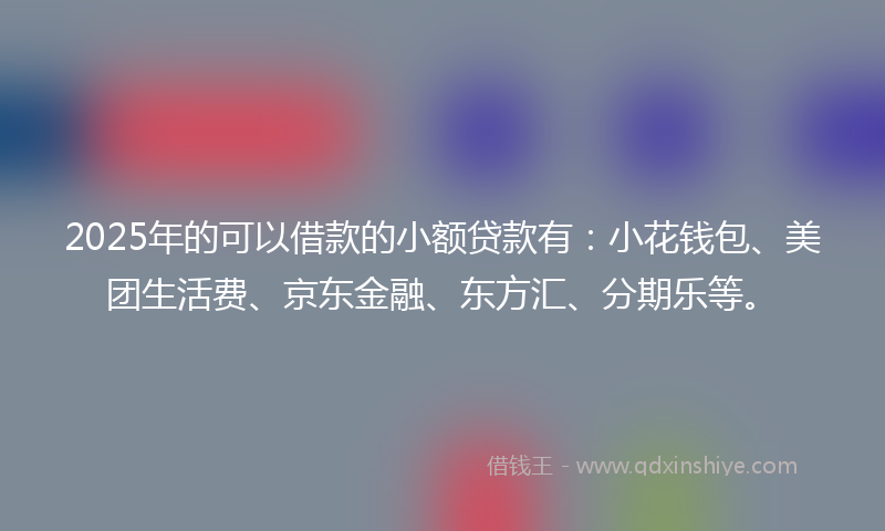 2025年的可以借款的小额贷款有：小花钱包、美团生活费、京东金融、东方汇、分期乐等。