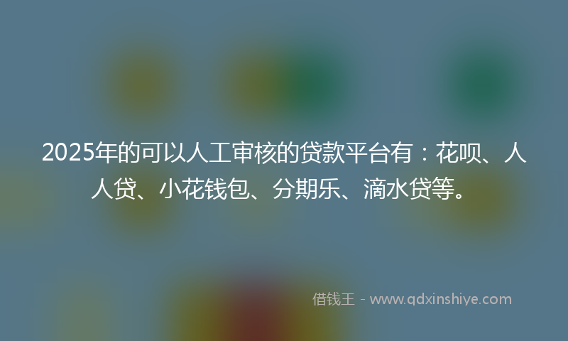 2025年的可以人工审核的贷款平台有：花呗、人人贷、小花钱包、分期乐、滴水贷等。