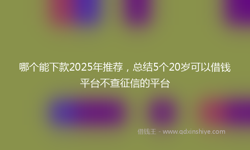哪个能下款2025年推荐，总结5个20岁可以借钱平台不查征信的平台