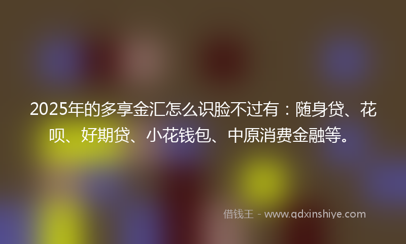 2025年的多享金汇怎么识脸不过有：随身贷、花呗、好期贷、小花钱包、中原消费金融等。
