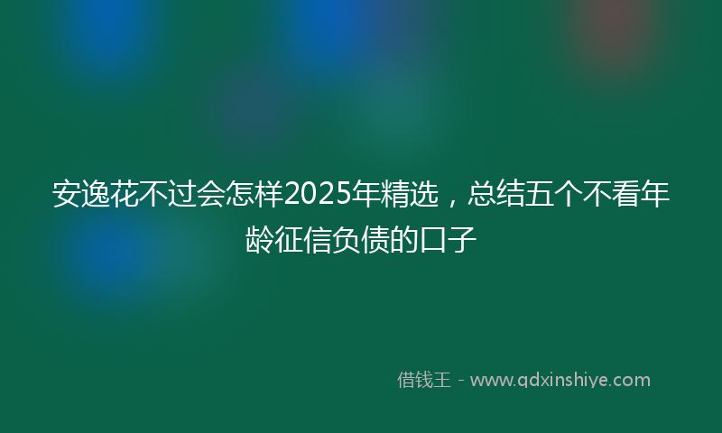 安逸花不过会怎样2025年精选，总结五个不看年龄征信负债的口子