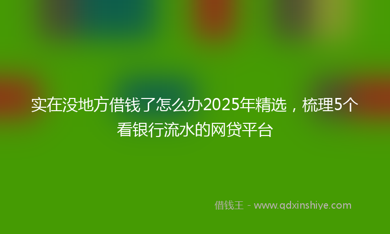 实在没地方借钱了怎么办2025年精选，梳理5个看银行流水的网贷平台