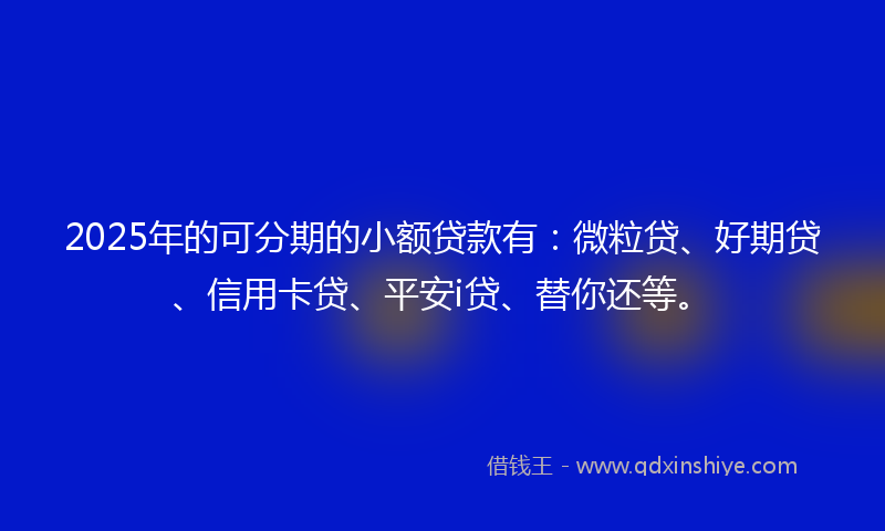 2025年的可分期的小额贷款有：微粒贷、好期贷、信用卡贷、平安i贷、替你还等。