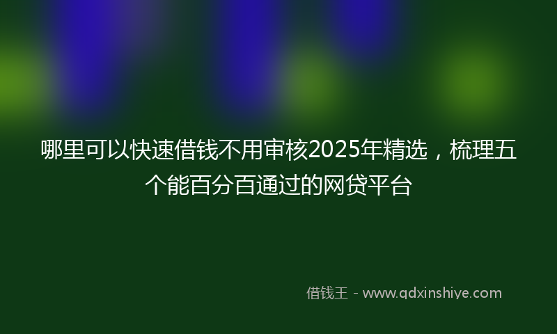哪里可以快速借钱不用审核2025年精选，梳理五个能百分百通过的网贷平台