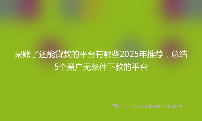 呆账了还能贷款的平台有哪些2025年推荐，总结5个黑户无条件下款的平台