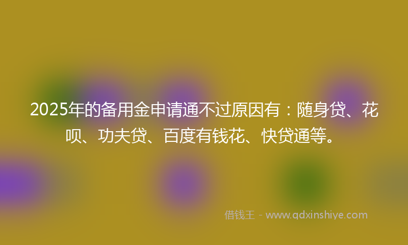 2025年的备用金申请通不过原因有：随身贷、花呗、功夫贷、百度有钱花、快贷通等。