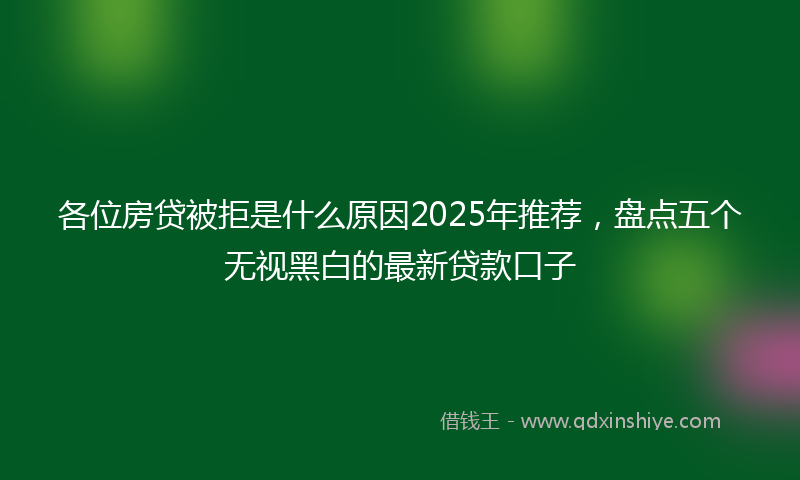 各位房贷被拒是什么原因2025年推荐，盘点五个无视黑白的最新贷款口子