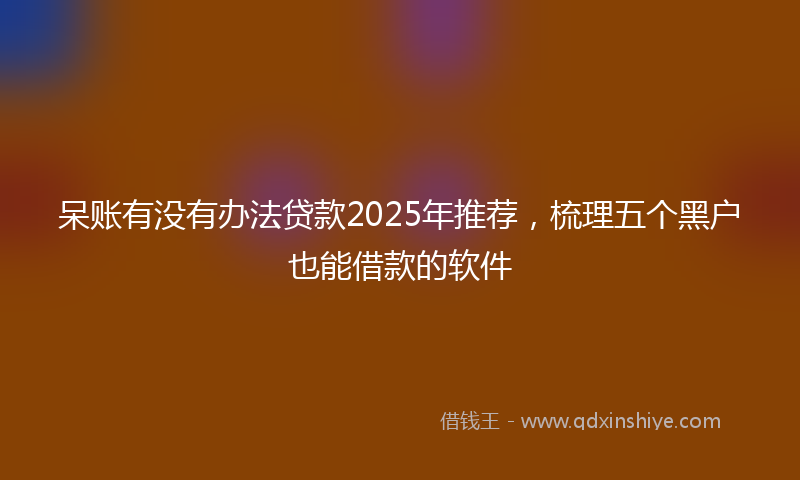 呆账有没有办法贷款2025年推荐，梳理五个黑户也能借款的软件