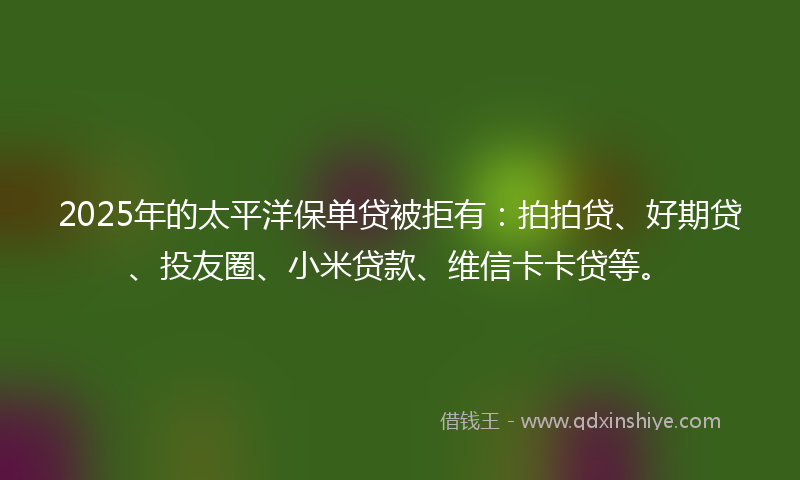 2025年的太平洋保单贷被拒有：拍拍贷、好期贷、投友圈、小米贷款、维信卡卡贷等。