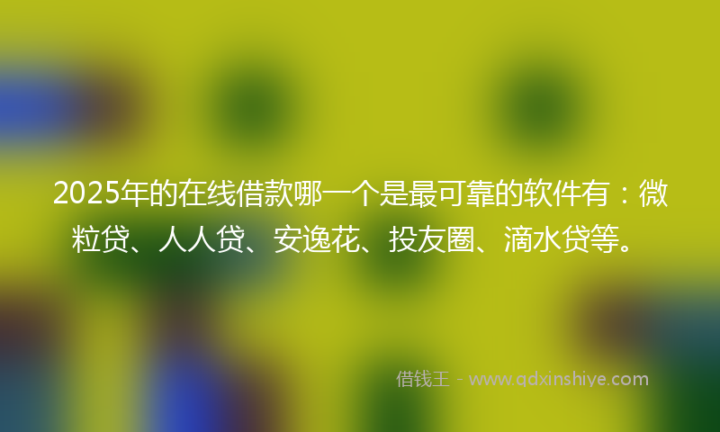2025年的在线借款哪一个是最可靠的软件有：微粒贷、人人贷、安逸花、投友圈、滴水贷等。
