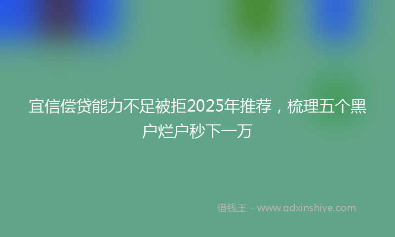 宜信偿贷能力不足被拒2025年推荐，梳理五个黑户烂户秒下一万