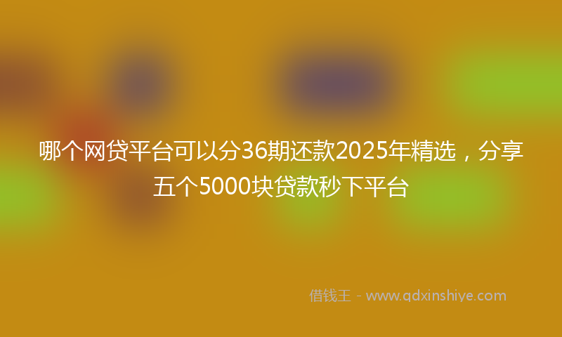 哪个网贷平台可以分36期还款2025年精选，分享五个5000块贷款秒下平台