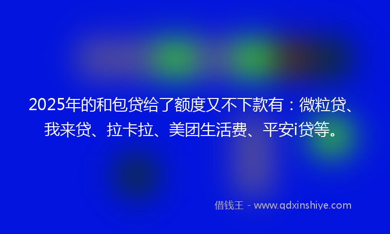 2025年的和包贷给了额度又不下款有：微粒贷、我来贷、拉卡拉、美团生活费、平安i贷等。